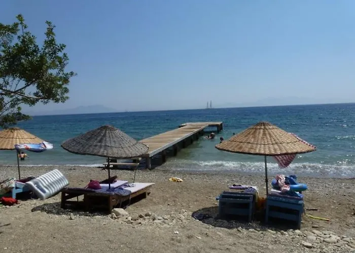 Sahil בית הארחה *