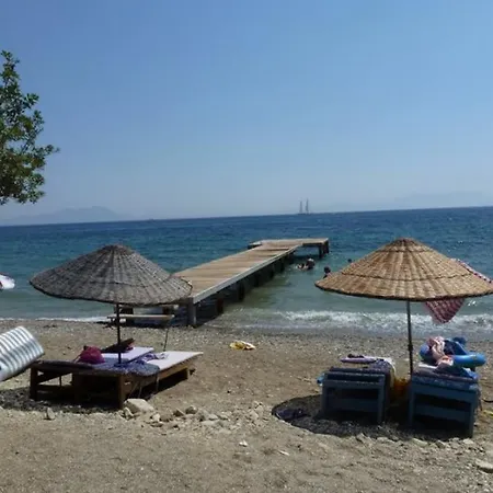 Sahil Гостевой дом *