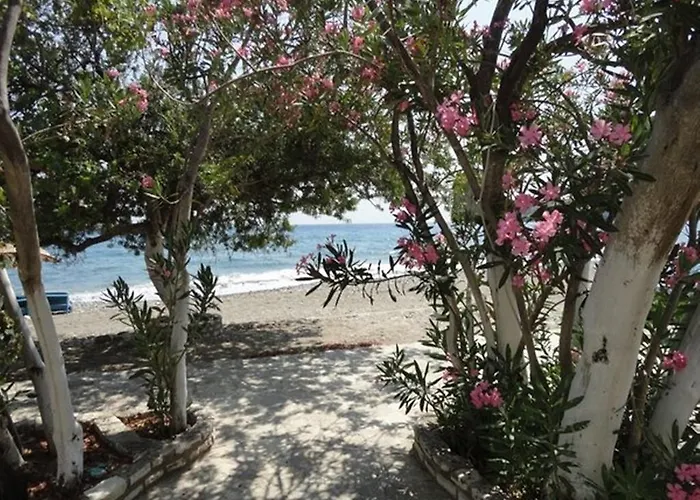 Гостевой дом Sahil Mazi